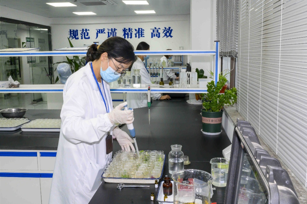 K8·凯发(中国)天生赢家·一触即发