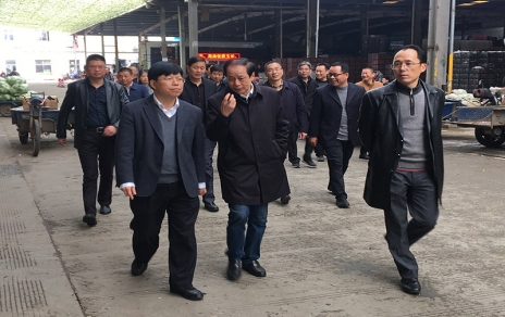 2017年3月16日下午，嘉兴市委常委、常务副市长楼建明带领市级相关部门负责人视察嘉兴蔬菜批发市场