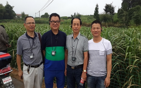 2014年8月，中国蔬菜流通协会会长戴中久与公司、市场领导一起考察蔬菜基地