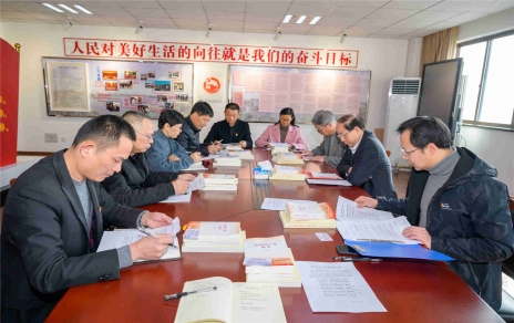 学党史、严纪律，践承诺、当先锋