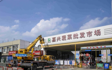 进无止境，“嘉农?蔬菜人”