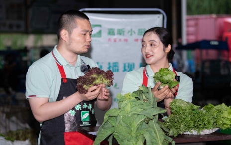 千金如玉，一口清心--生菜?油麦菜?莴笋直播专场